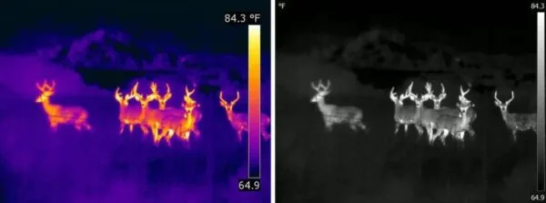 The Basics of Thermal Drones | Drone Thermal Imagery & Thermal Camera Drone
