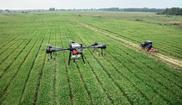 Drone spraying on filed as drone pilot job in agriculture