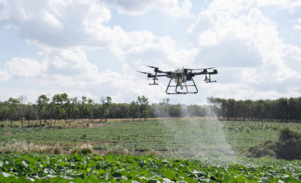 dji agrass T30 drone for agriculture spraying pesticides on a farm