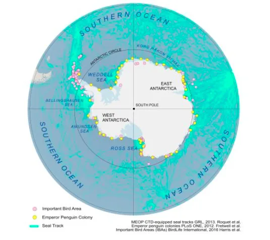 animals map of Antarctica 