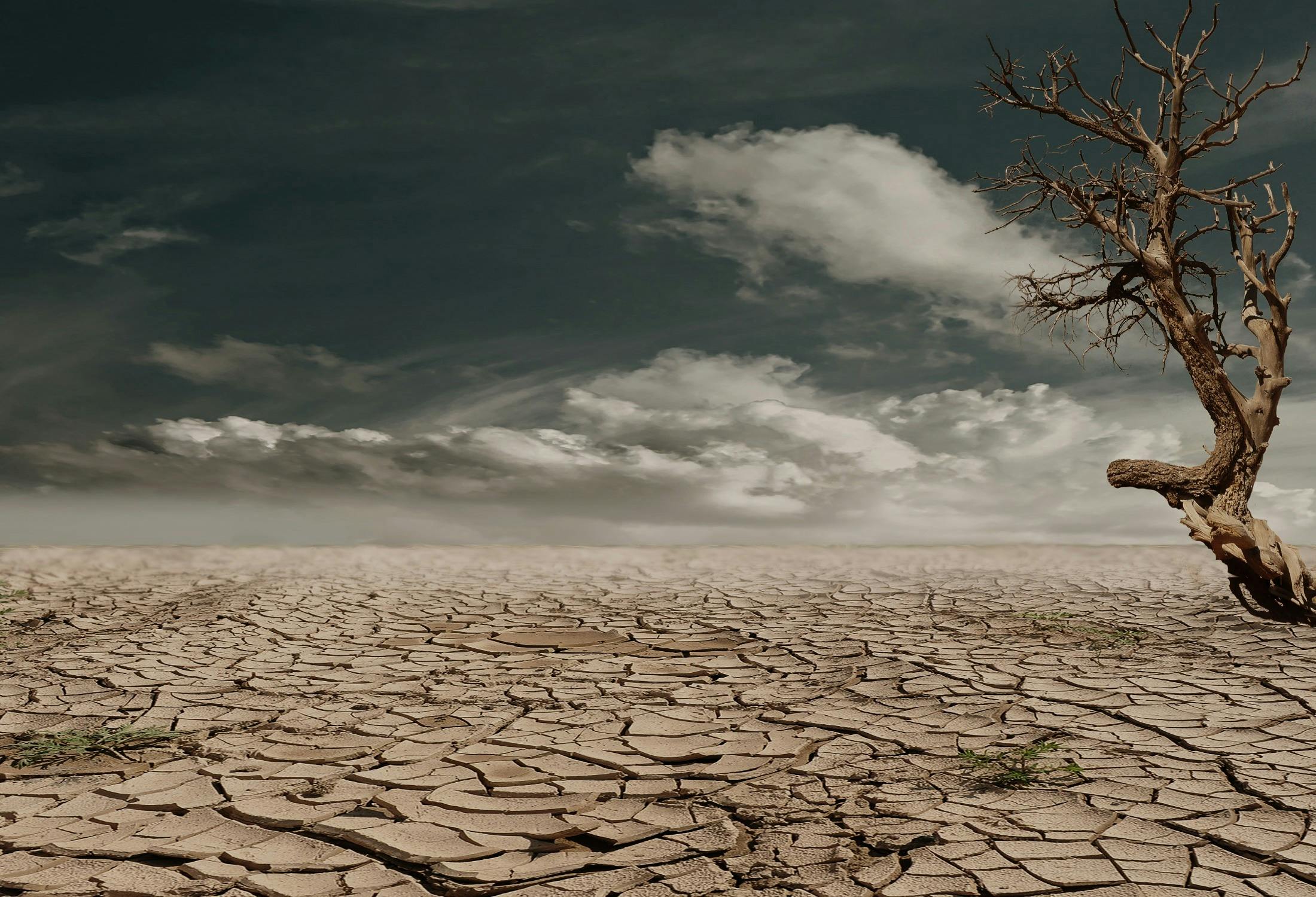 gis-and-environment-for-climate-change