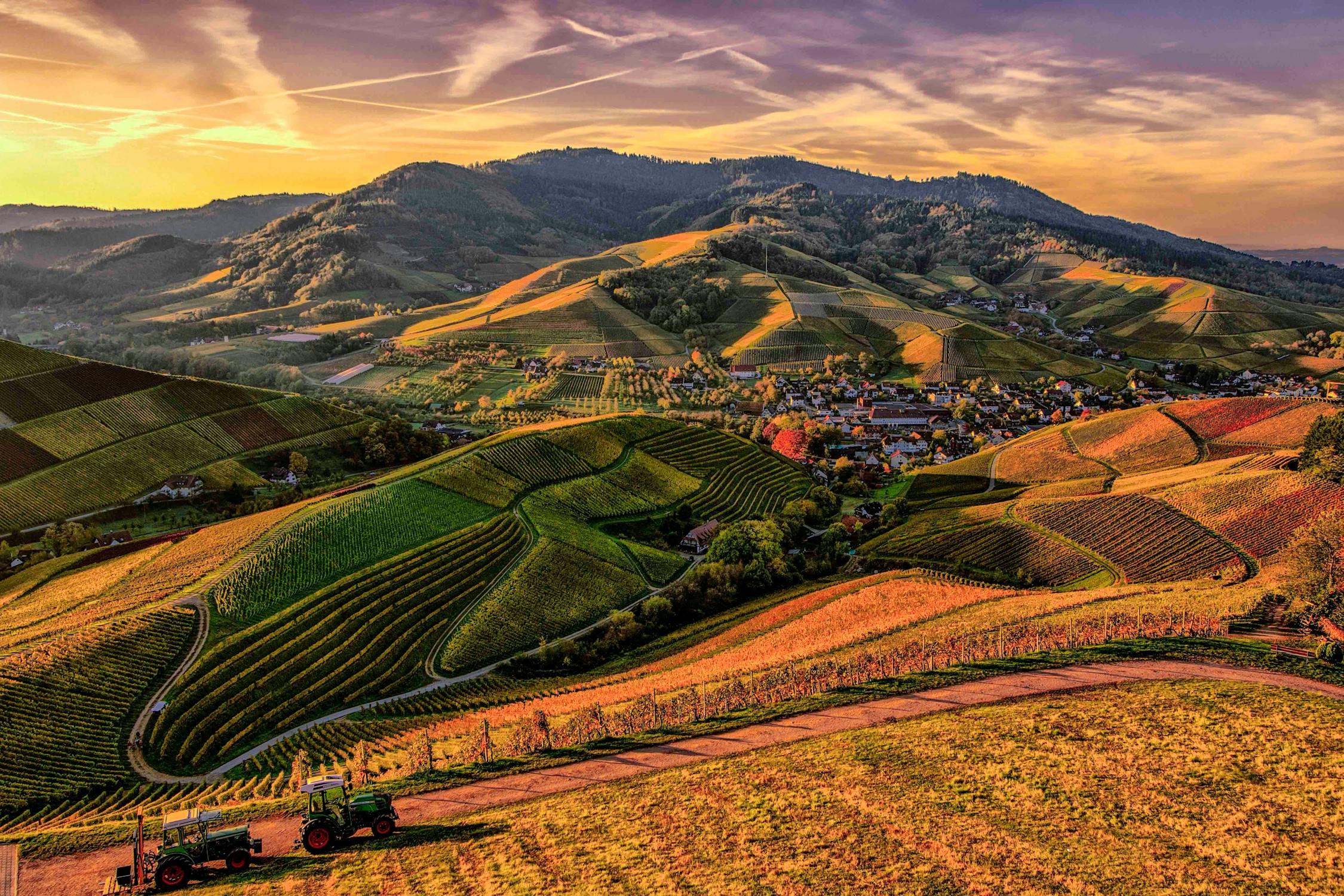 gis-environment-for-agriculture