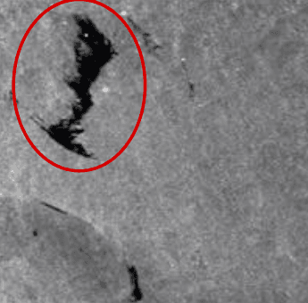 SAR image of a sea area.