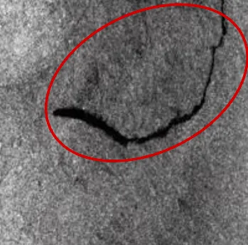 SAR image of a flood area before the flood.