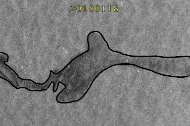 SAR image showing oil spill extraction in a marine area.