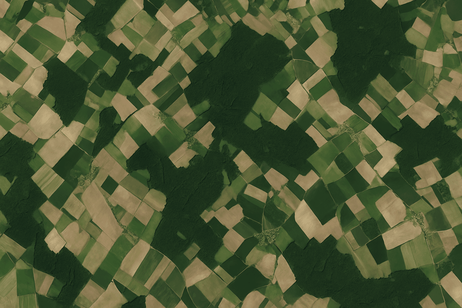 3D Terrain Model (DEM) used for Correction