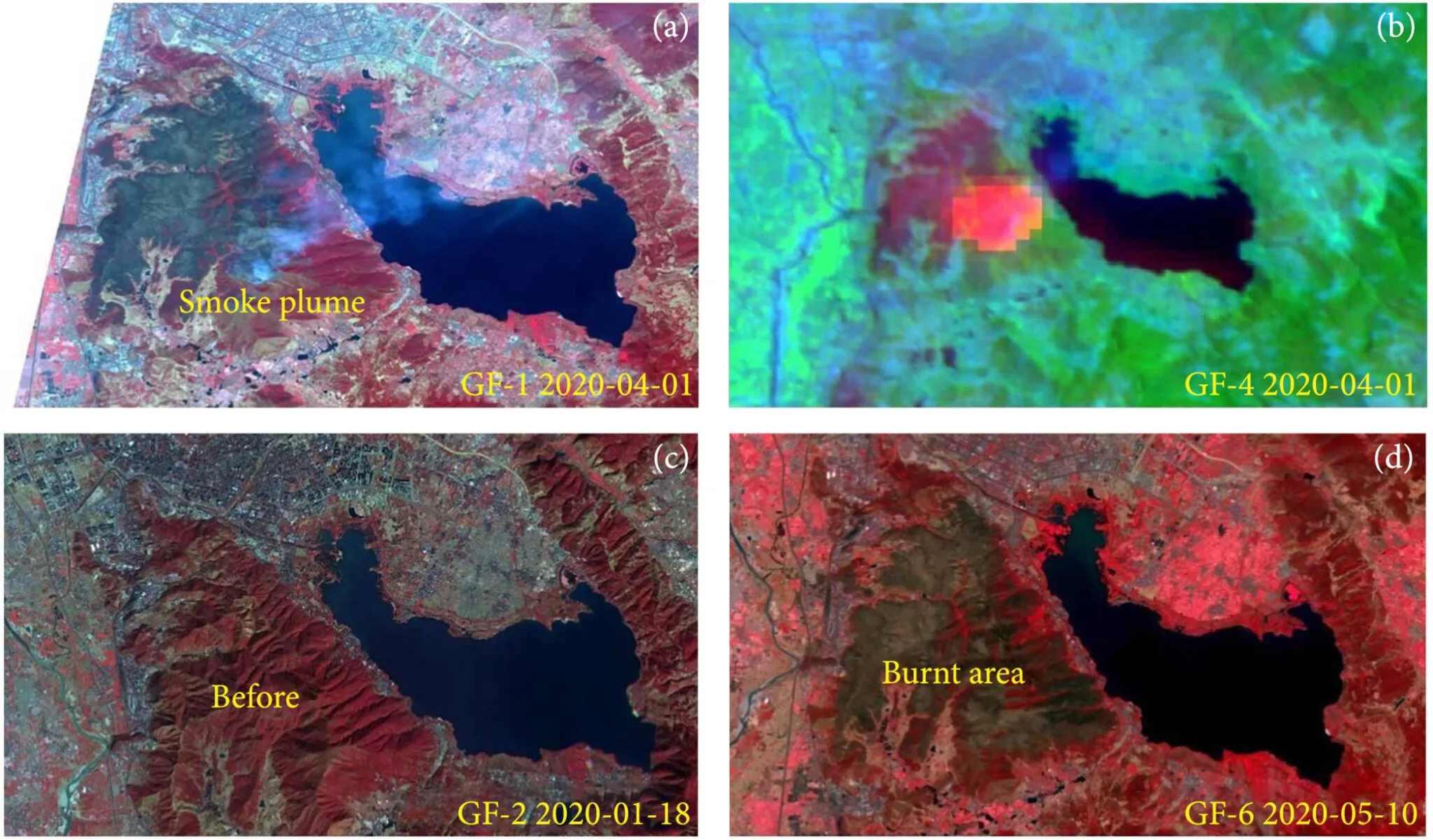 Global satellite coverage map showing worldwide reach