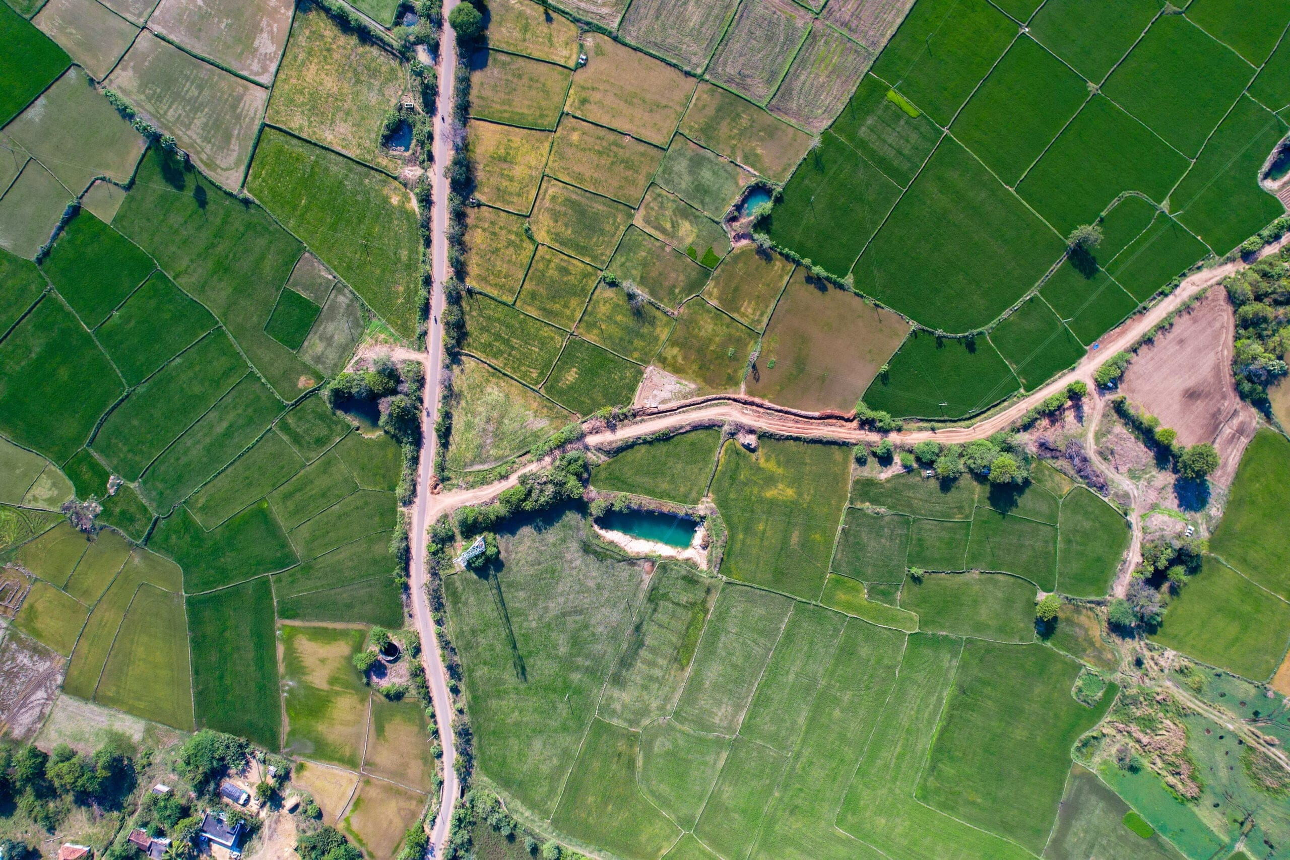 50cm satellite imagery for agriculture, crop health monitoring and field mapping — XRTech Group