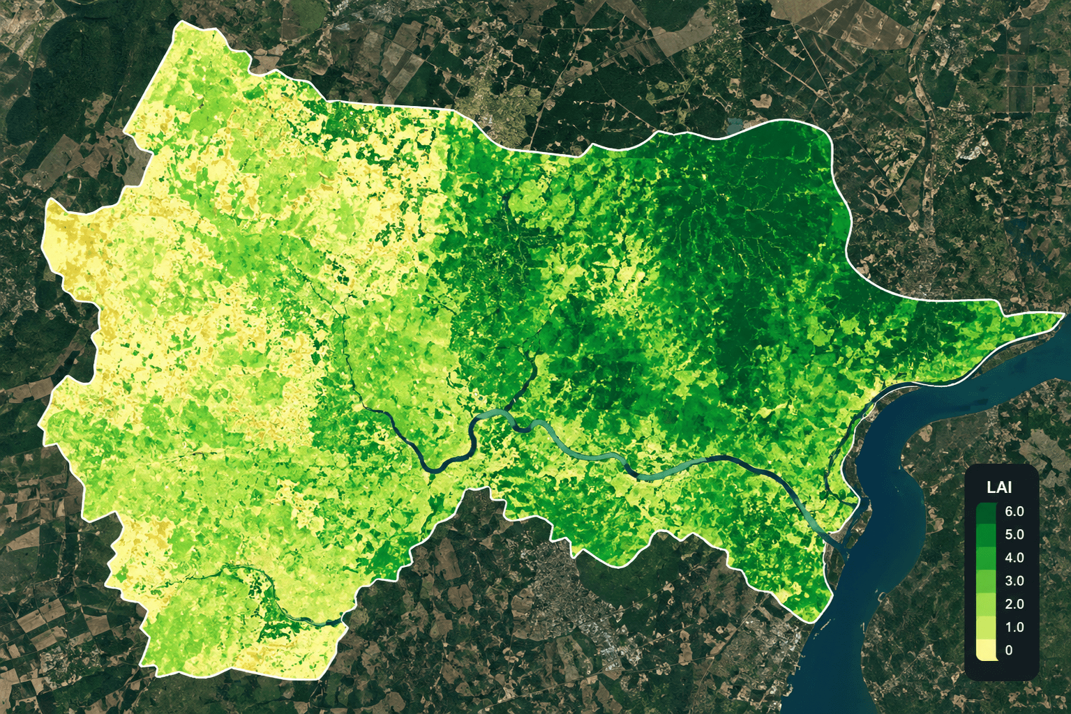LAI