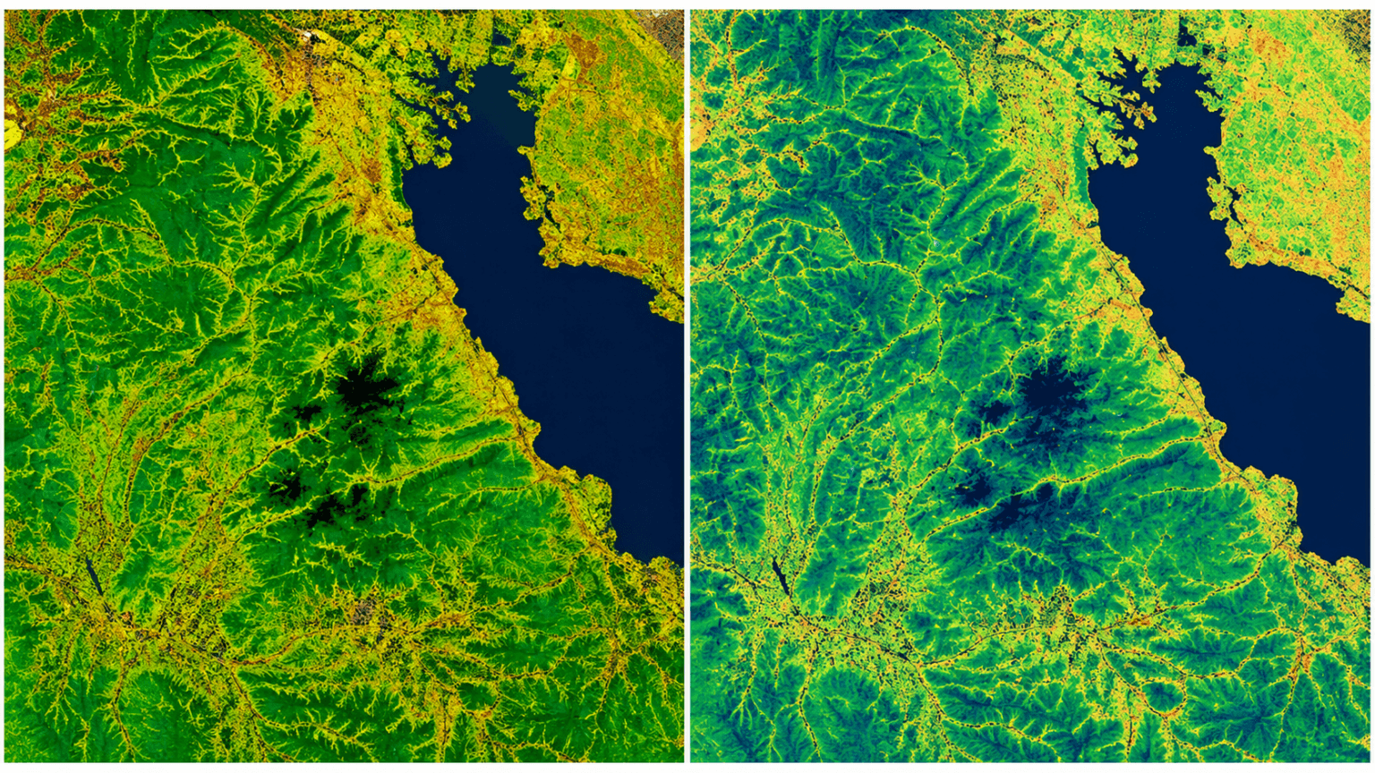 Evi File Enhanced Vegetation Index (EVI): Formula, vs NDVI & Uses